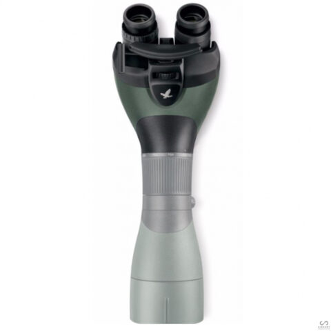 BTX Eyepiece Module