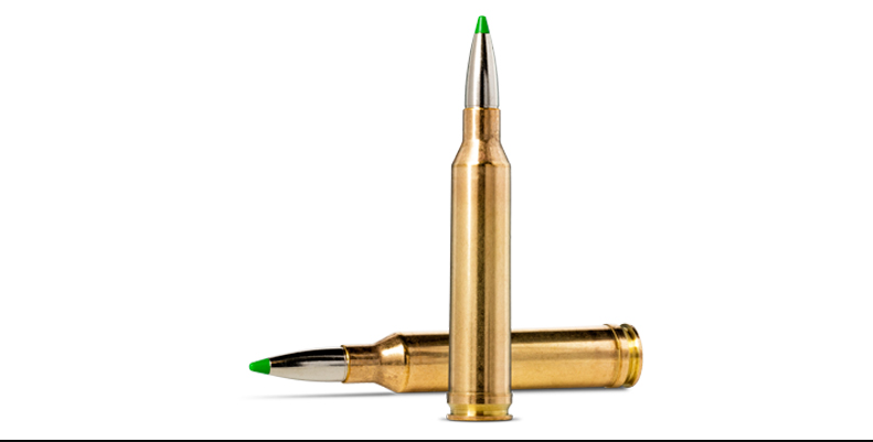 9,3x62 Ecostrike 14.9g / 230grs