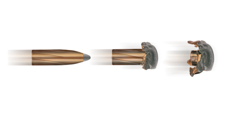 .300 Win Mag TM 11g / 170grs