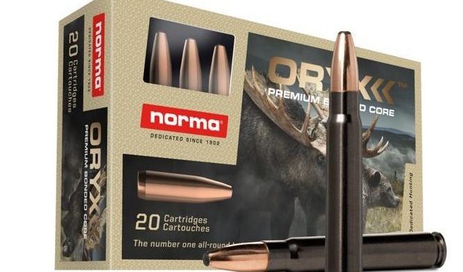 9.3x62 Ory Silencer / 18.5 g / 285 grs
