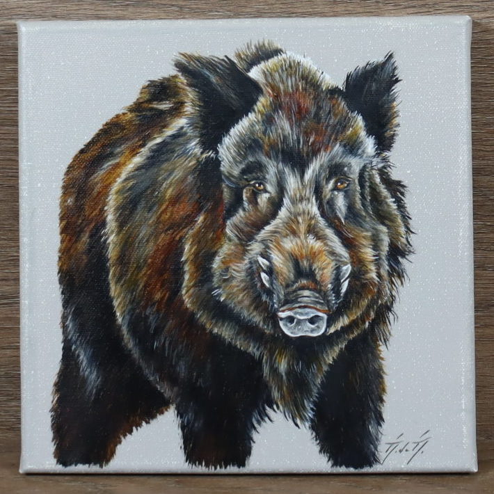 Peinture Sur Toile Sanglier
