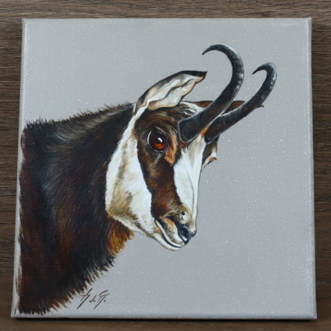 Peinture Sur Toile Chamois