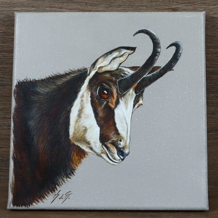 Peinture Sur Toile Chamois