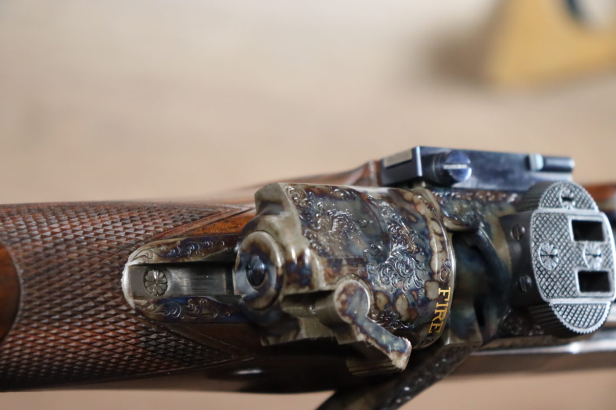 Carabine avec lunette Z8I 1-8X24