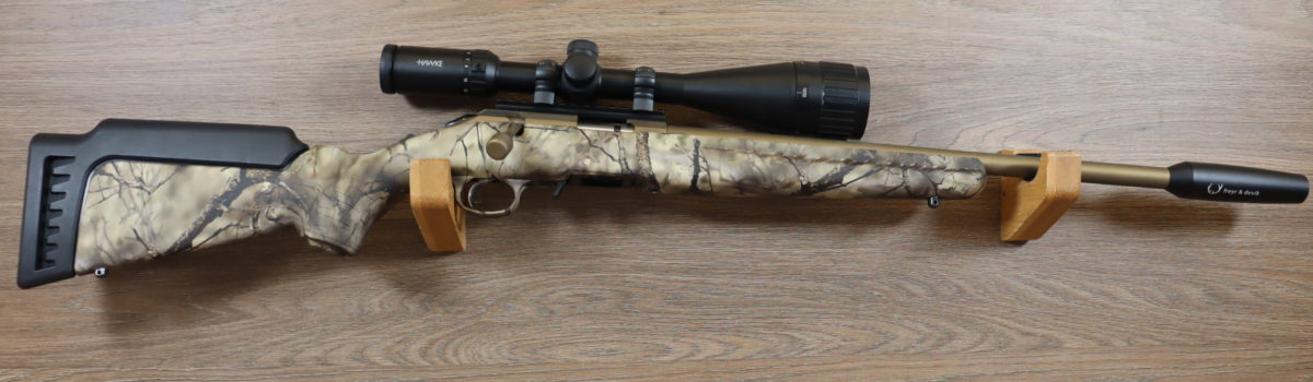 Carabine American Rimfire + Lunette + silencieux
