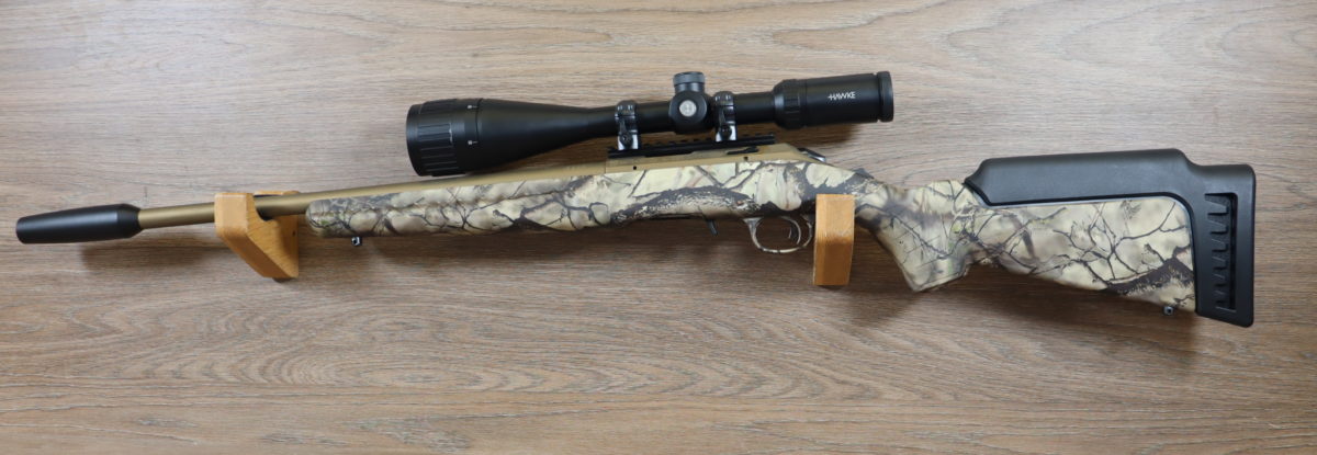 Carabine American Rimfire + Lunette + silencieux